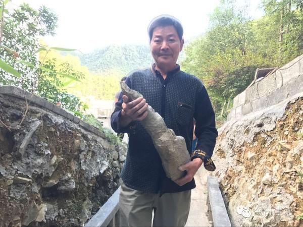 壽昌鎮(zhèn)周村敖樹林，巧手打造迷人庭院